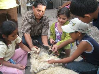 Ayacucho. Testimonio Fotográfico. 2010