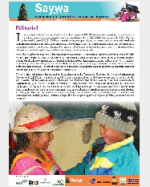 Libro de Saywa. Boletín informativo N° 2
