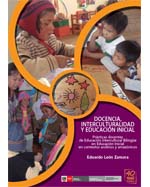 Libro de Docencia, interculturalidad y educación inicial. Prácticas docentes de Educación Intercultural Bilingüe en Educación Inicial en contextos andinos y amazónicos