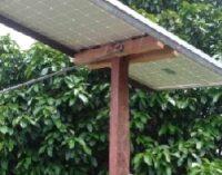 Imagen de Paneles solares dan luz de esperanza a escuelas de comunidades kichwa